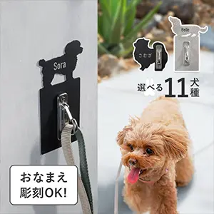 小型犬用リードフック 壁付けの画像