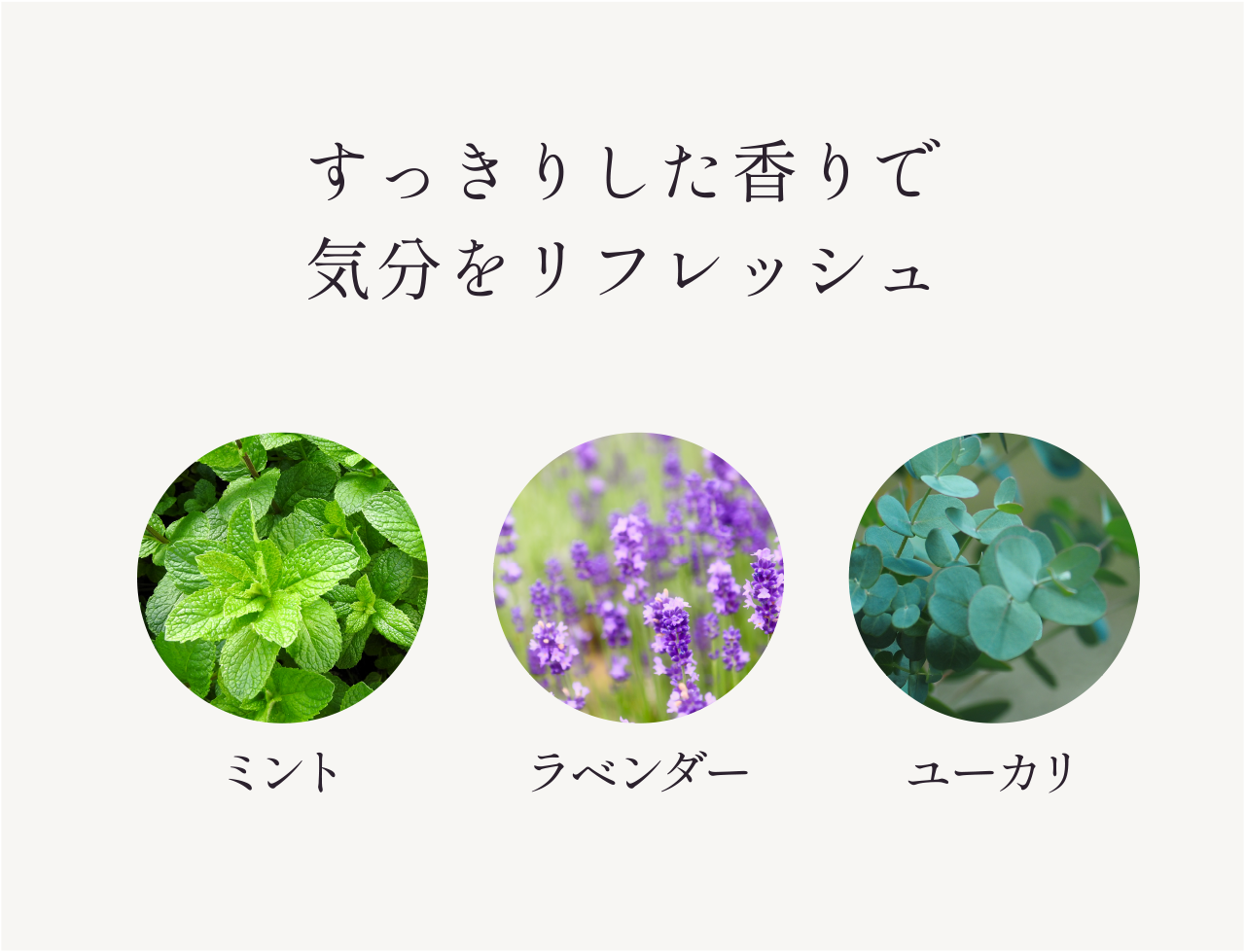 すっきりした香りで気分をリフレッシュ