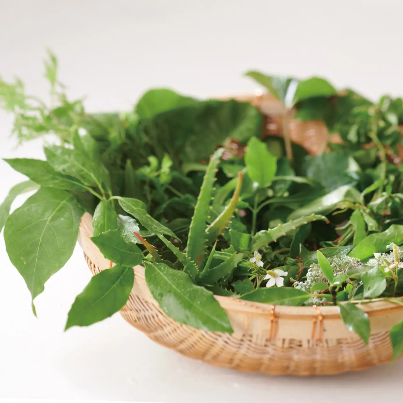 いちえ水 自然化粧水 定期購入用