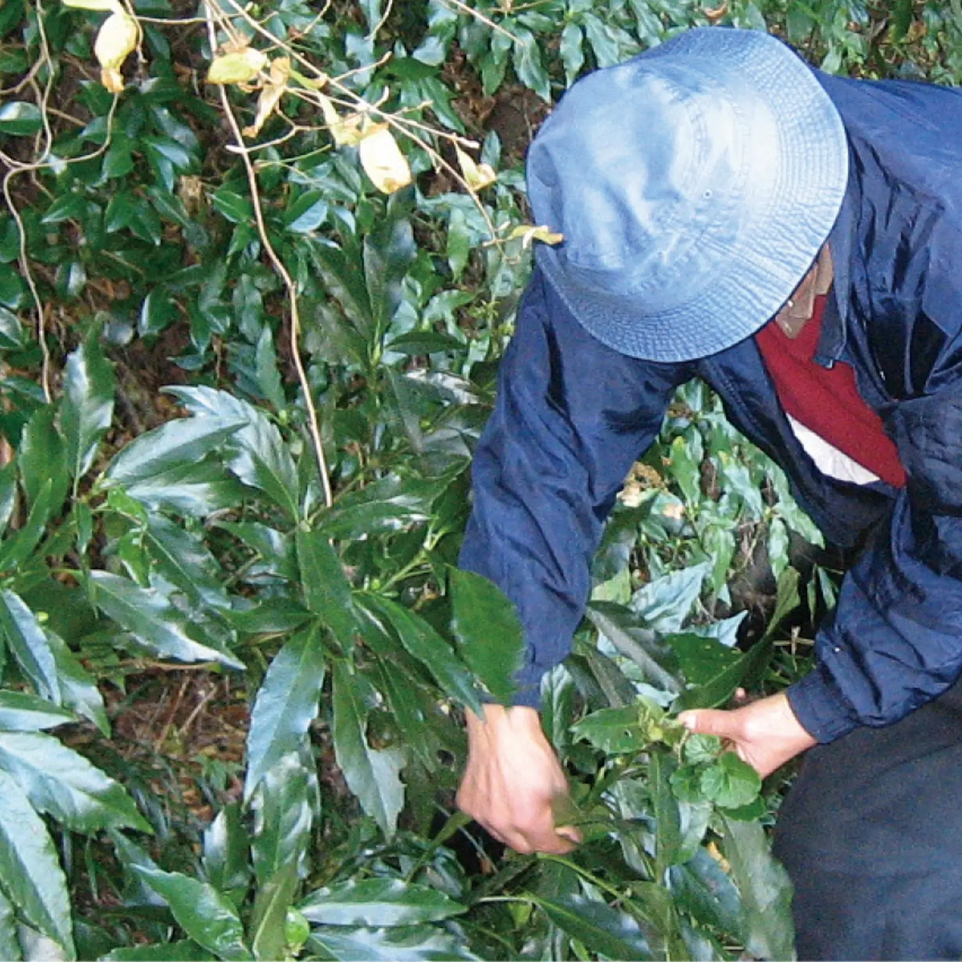 新品未使用業務用アールコード化粧水　2024.11.30購入分 自宅でプロ品質のエイジングケア】DNAスキンケアがすごい！アール.コード