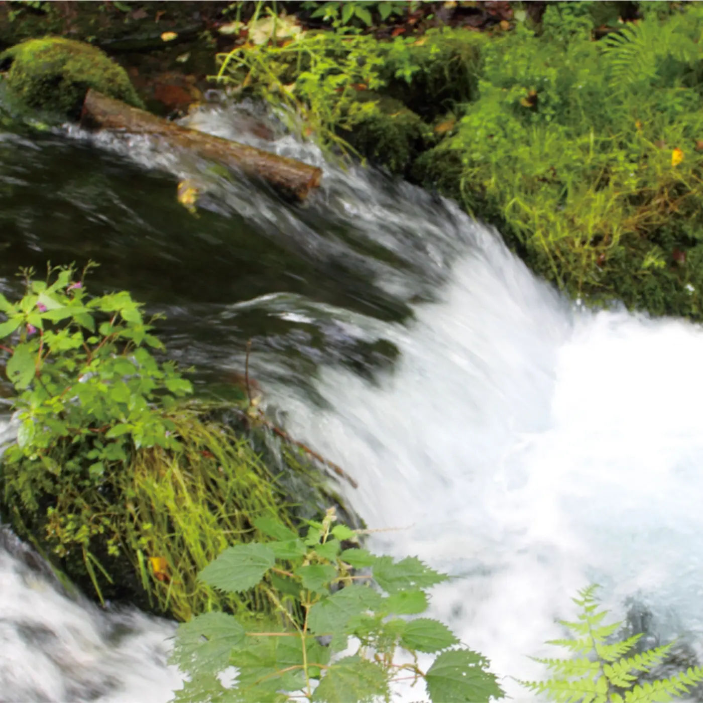 いちえ水 自然化粧水 定期購入用