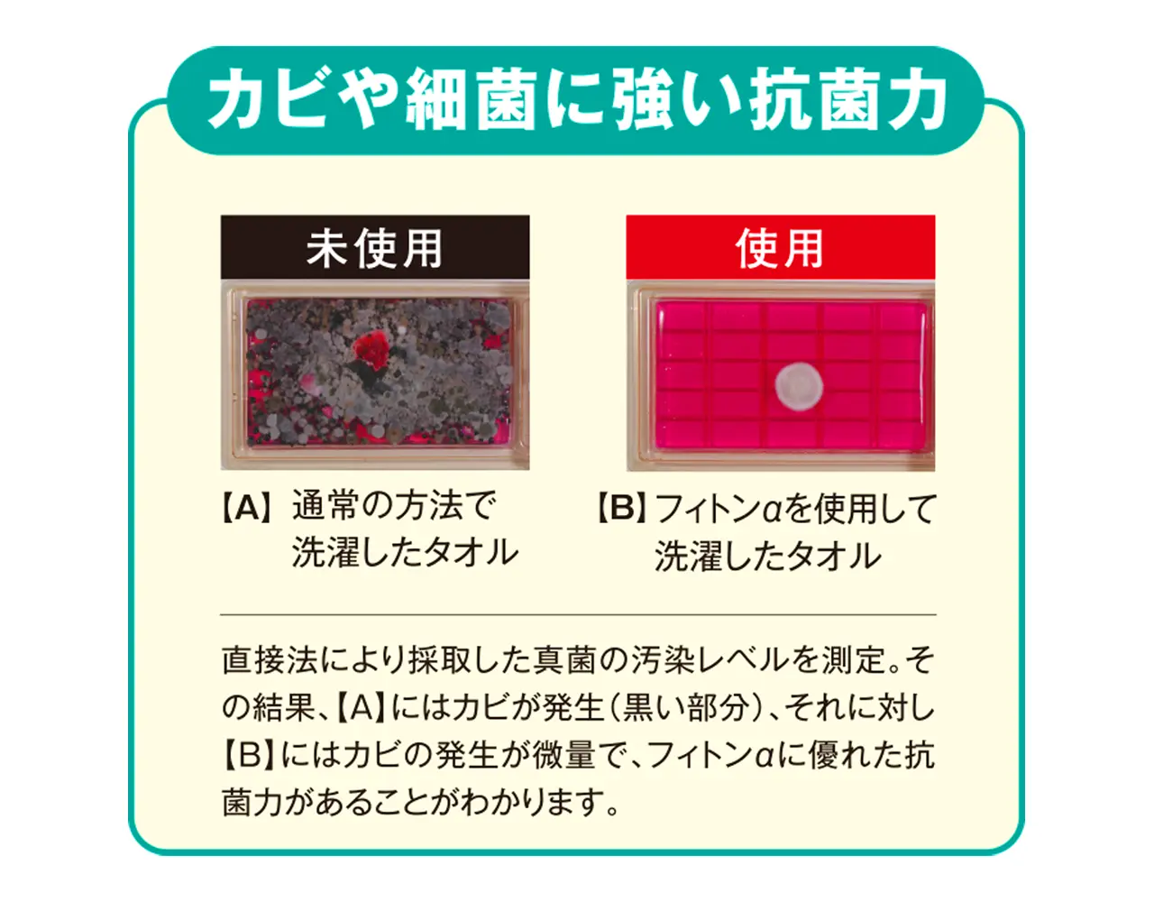 カビや細菌に強い抗菌力