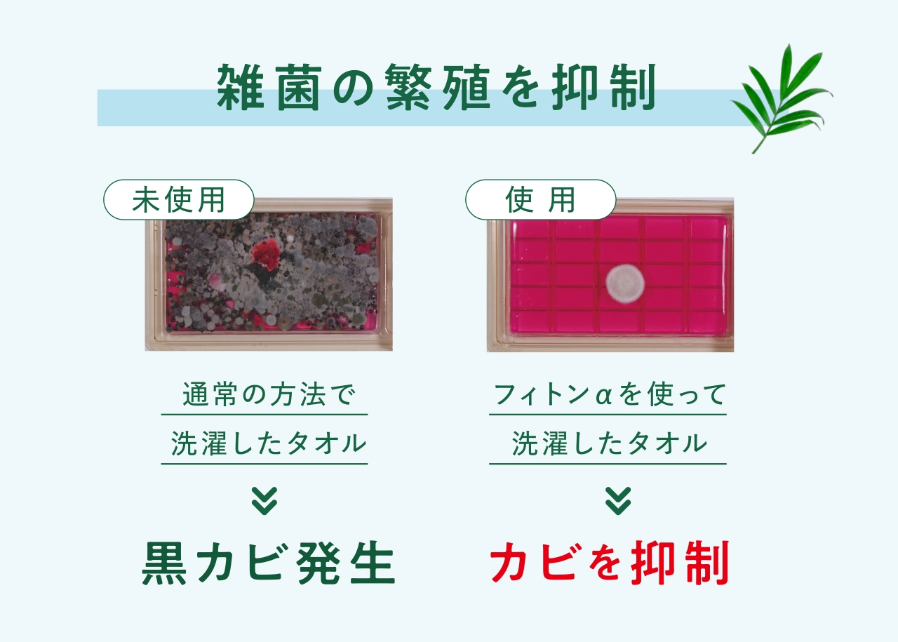 洗濯用フィトンαは雑菌の繁殖を抑制します