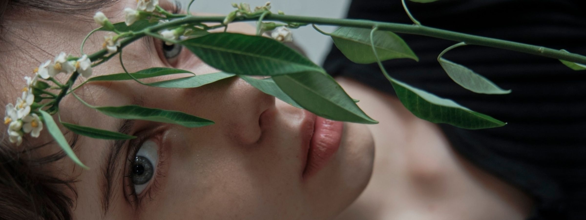 HONEY MI HONEY Brand Banner