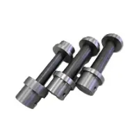 ピン・ブッシュ