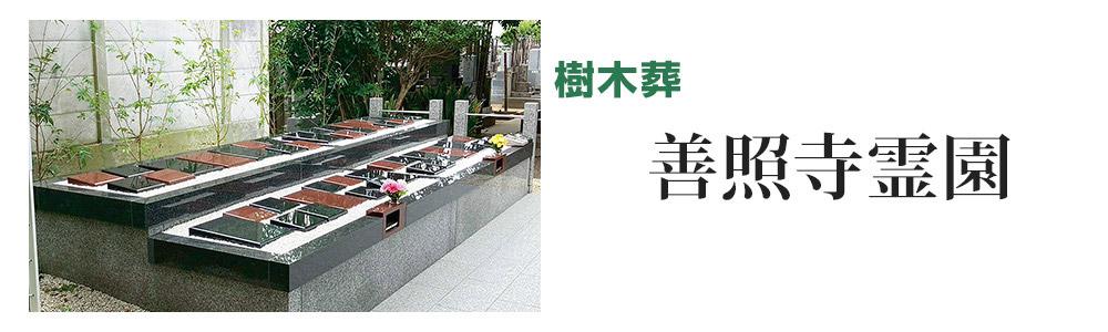 樹木葬紹介