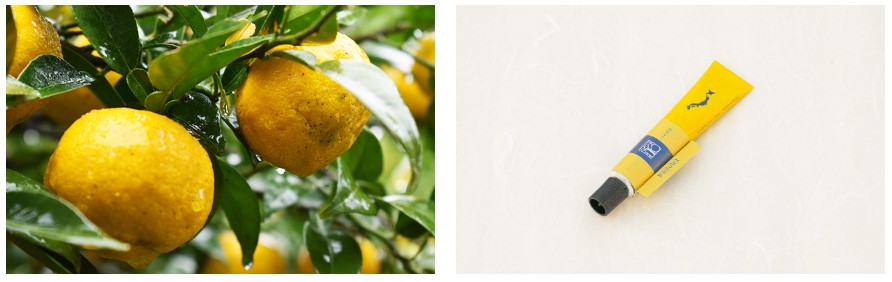 オーガニック国造ゆずハンドクリーム - WANOWA -