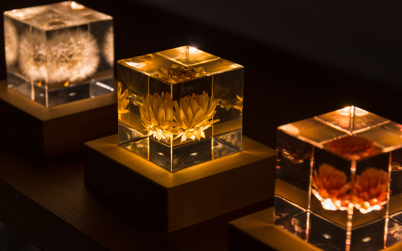 Sola cube＋Light Baseセット