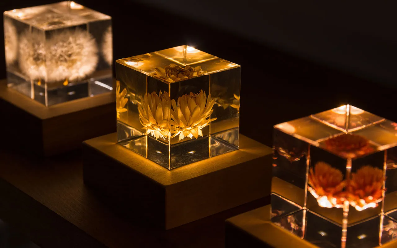 眺めるだけで癒やされる、自然を閉じ込めたSola cube＋Light Baseセット
