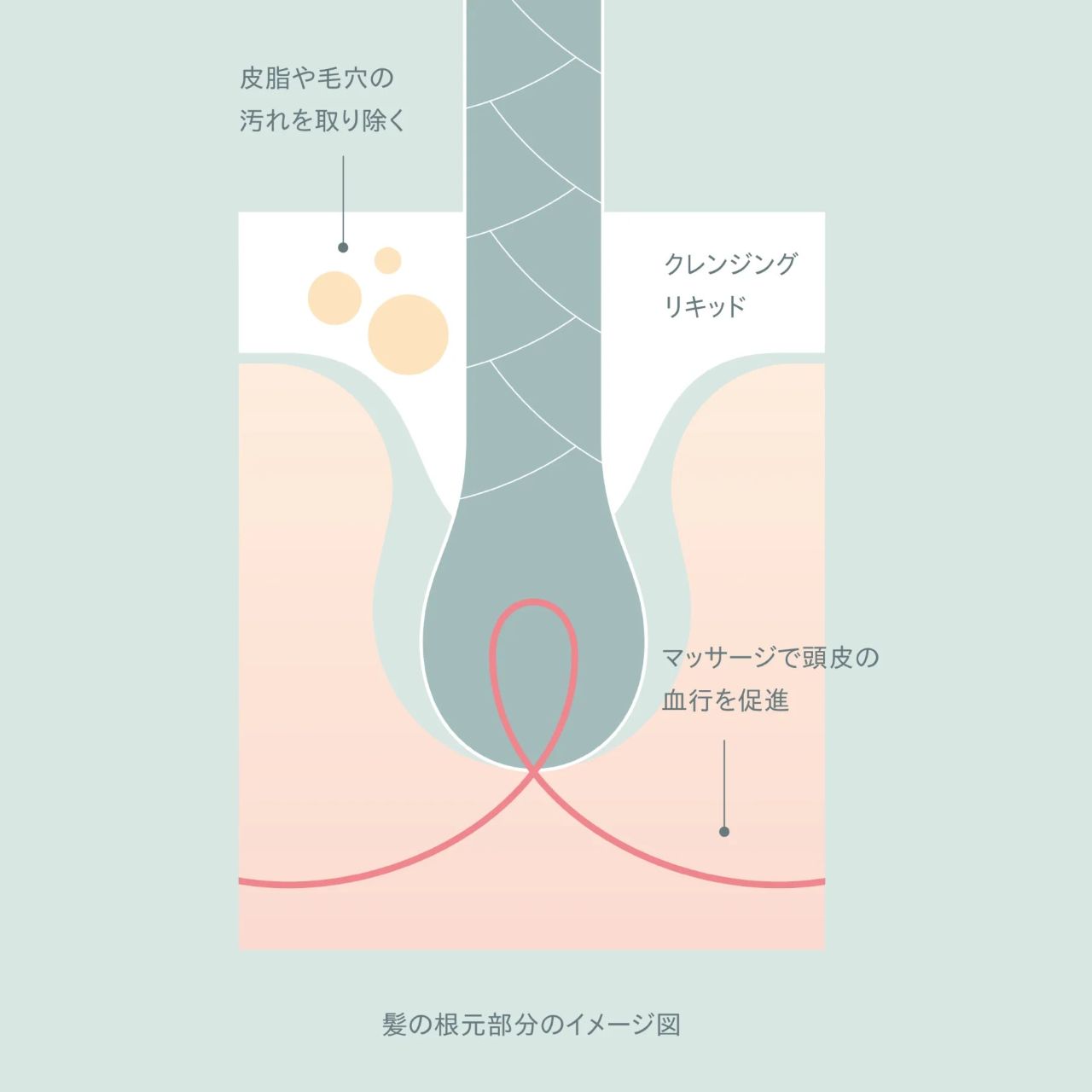 木村石鹸　12/JU-NI（ジューニ） スカルプケアクレンジング