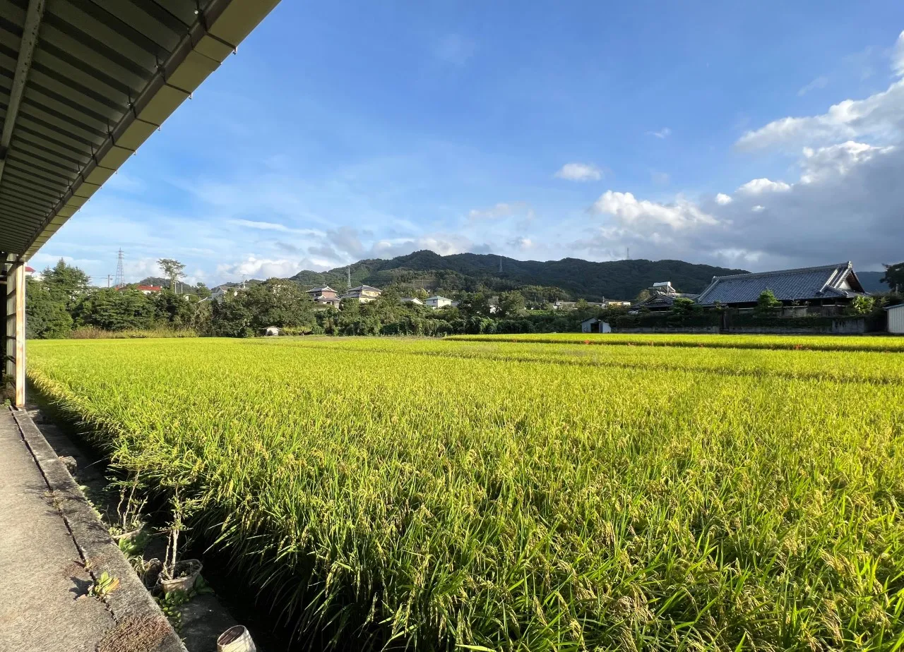 深海産業