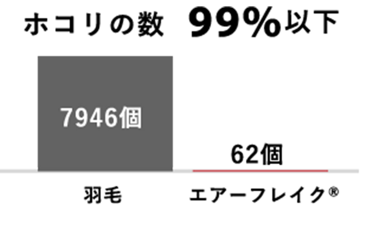 イシケン 洗濯 乾燥できる人工羽毛布団 肌掛け布団