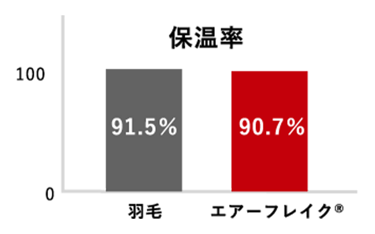 イシケン 洗濯 乾燥できる人工羽毛布団 肌掛け布団
