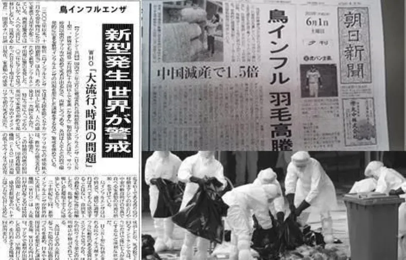 鳥インフルエンザの流行を伝える新聞記事