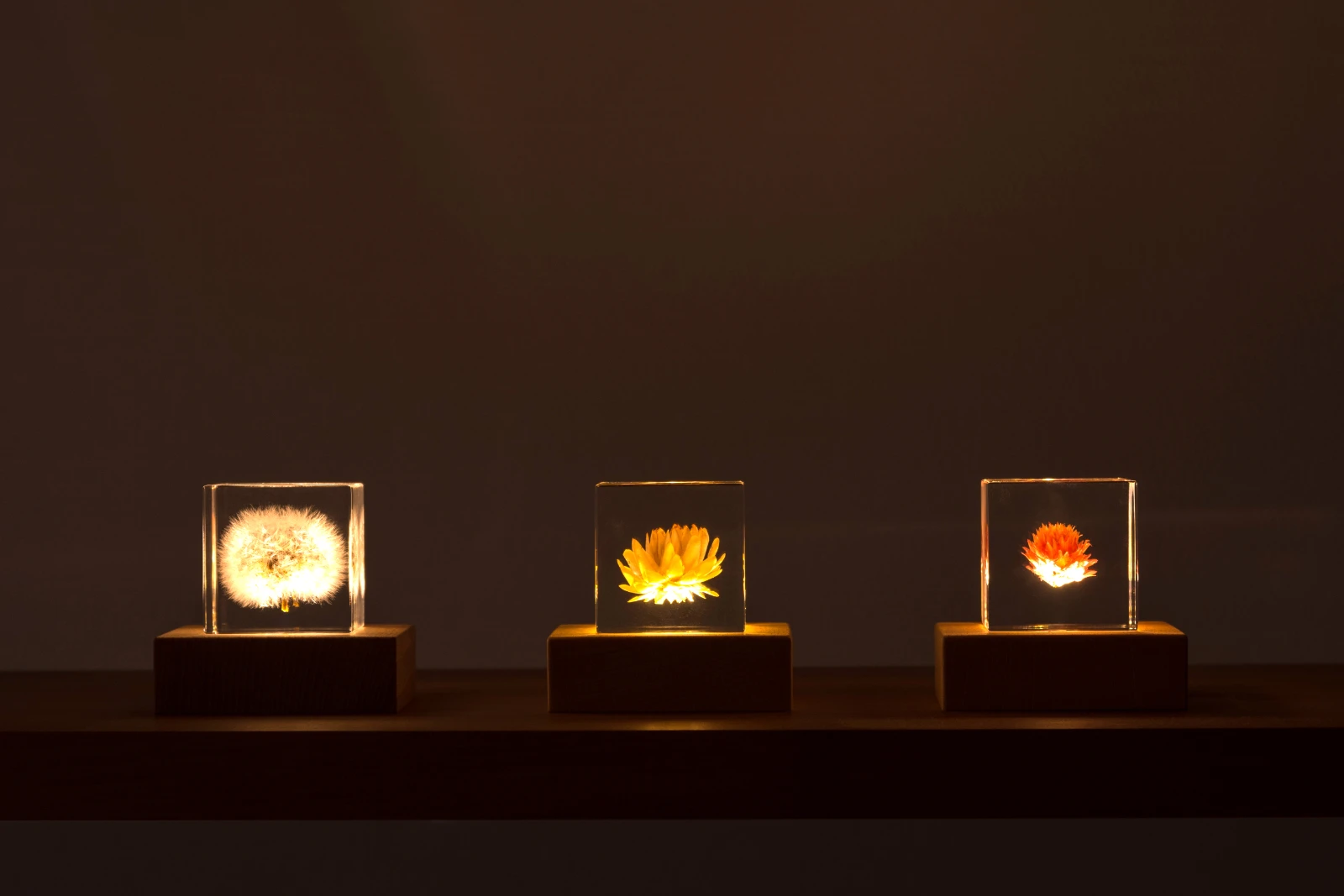 sola cube 