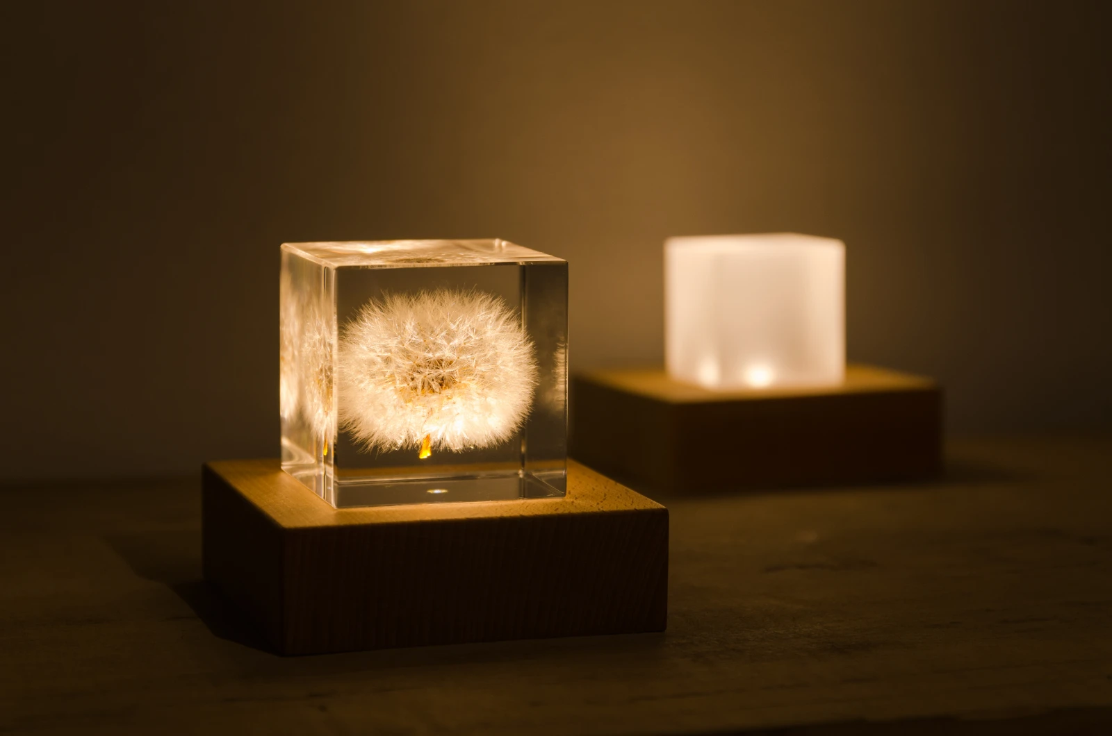 sola cube