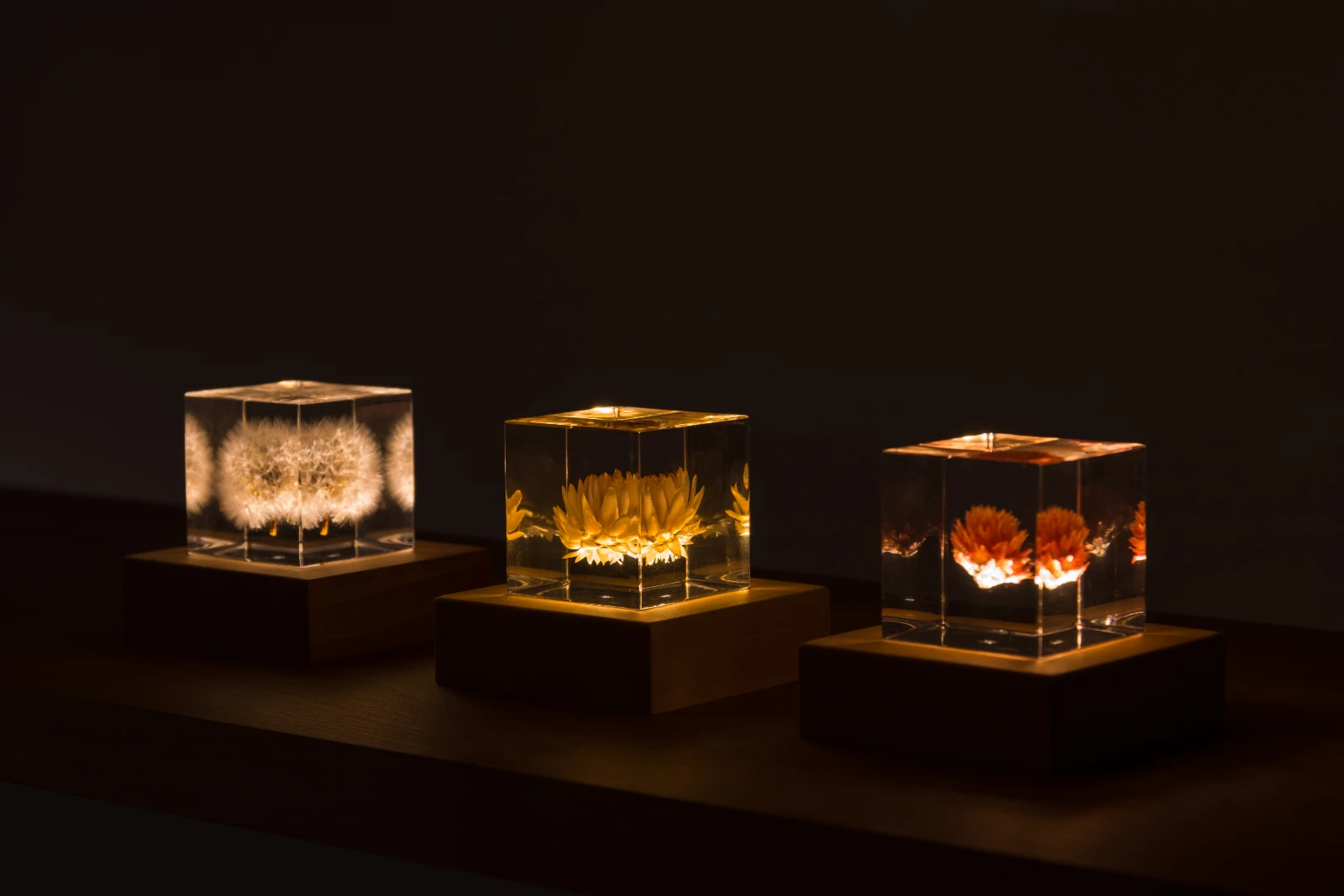 sola cube 