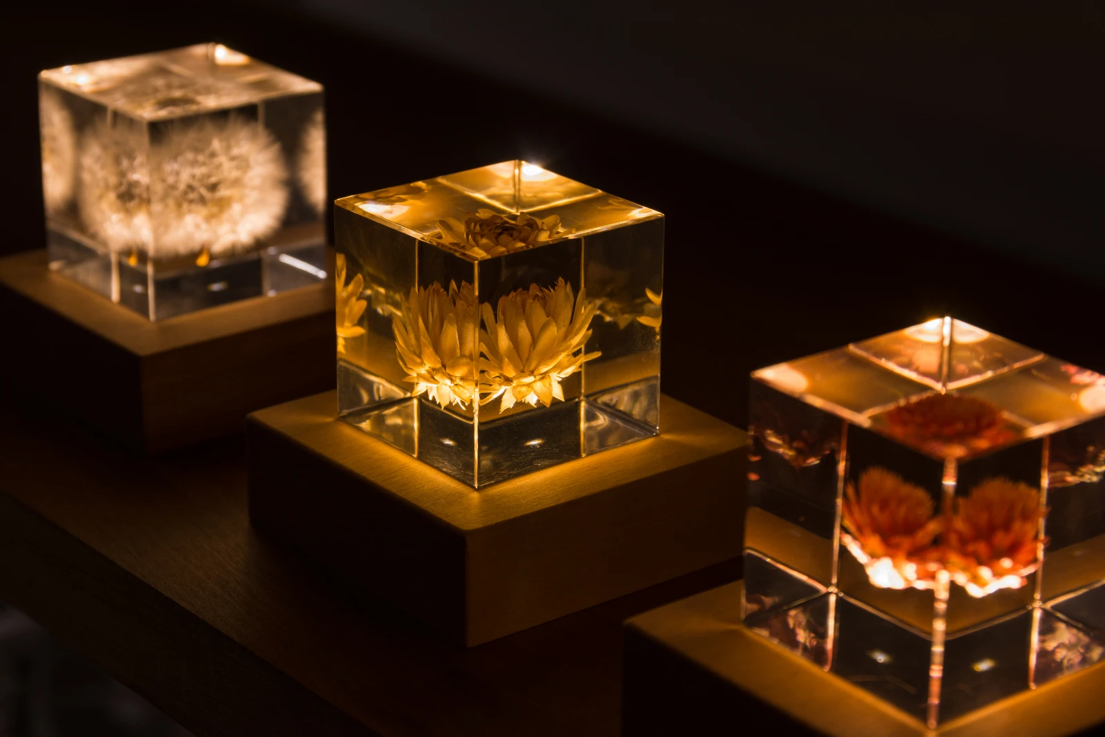 sola cube 