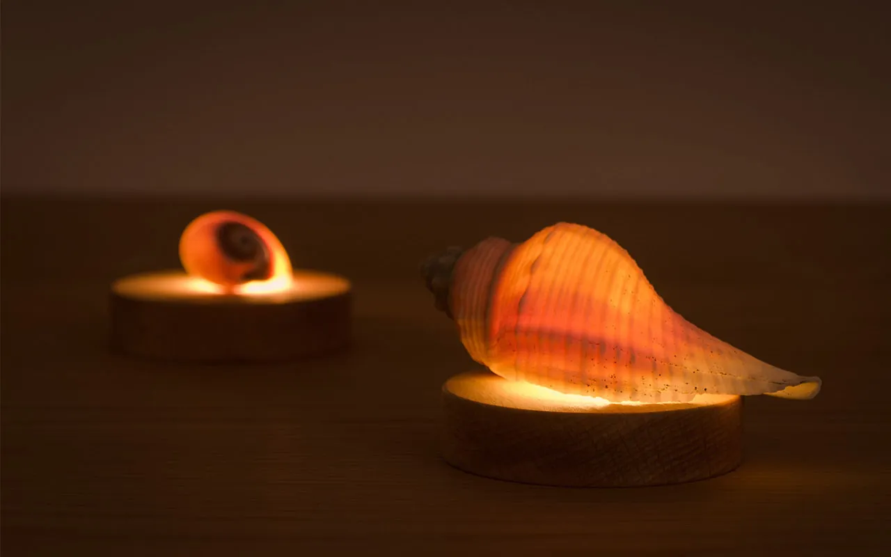 lightbase twodo 