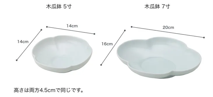 サイズ 瑞々 木瓜鉢