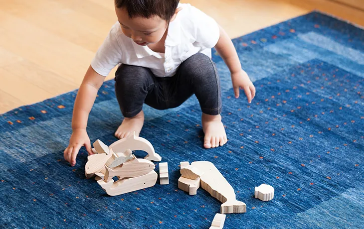 未使用　海のいきものつみき WOOD BLOCKS(国産無垢使用　オークビレッジ 海に囲まれる日本にとって身近ないきものたち 海のいきものつみき