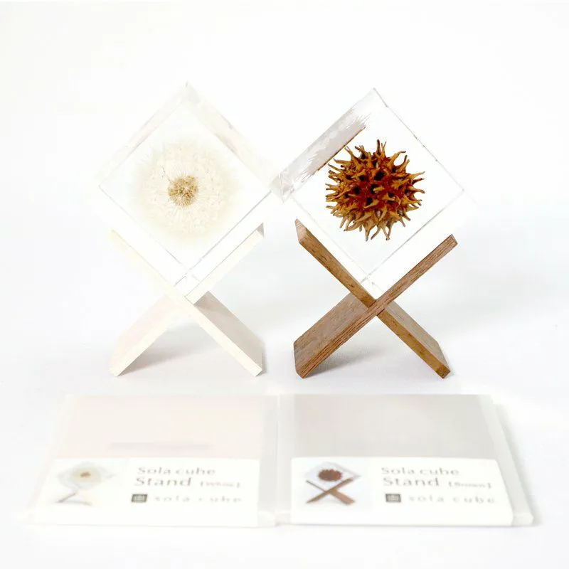 お花を贈る気持ちで、永遠に美しいSola cubeを。