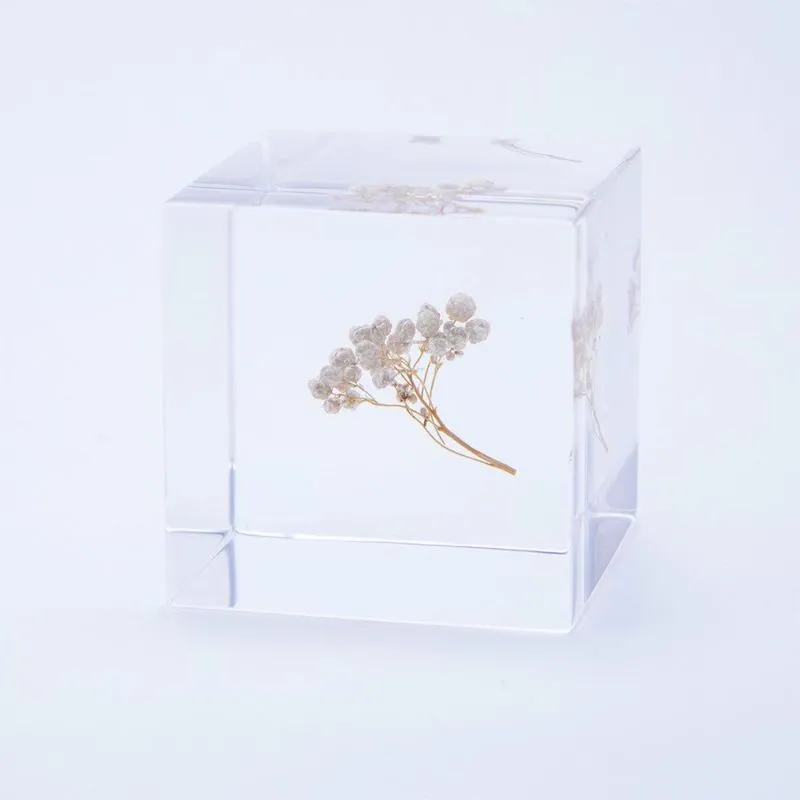 お花を贈る気持ちで、永遠に美しいSola cubeを。