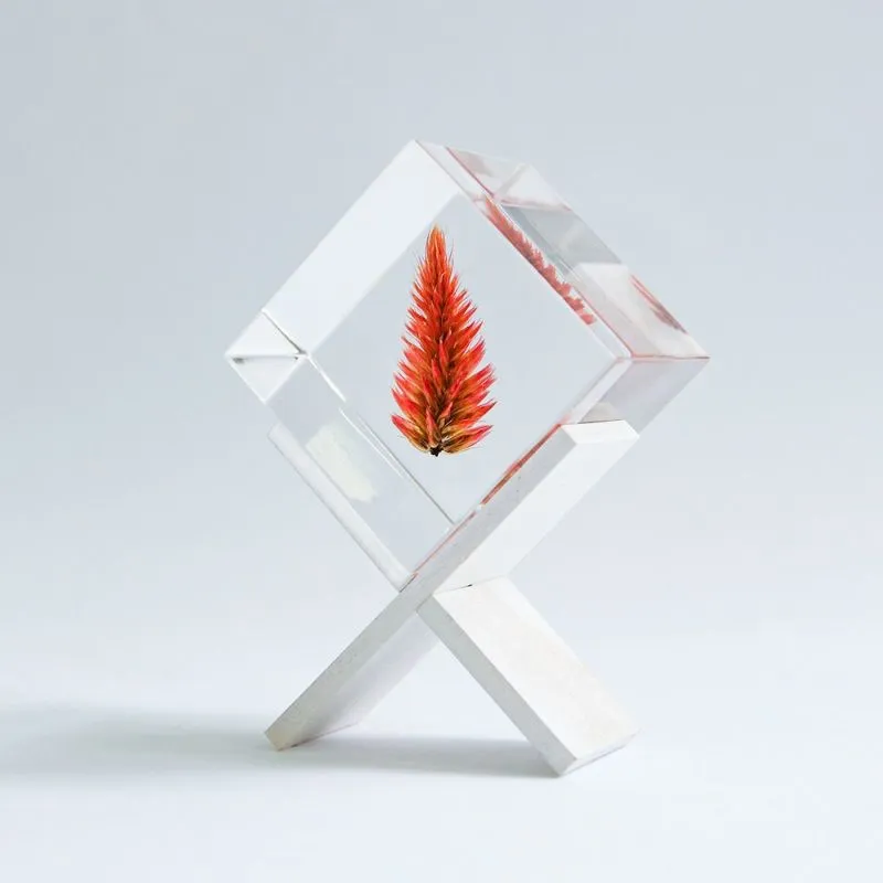 お花を贈る気持ちで、永遠に美しいSola cubeを。