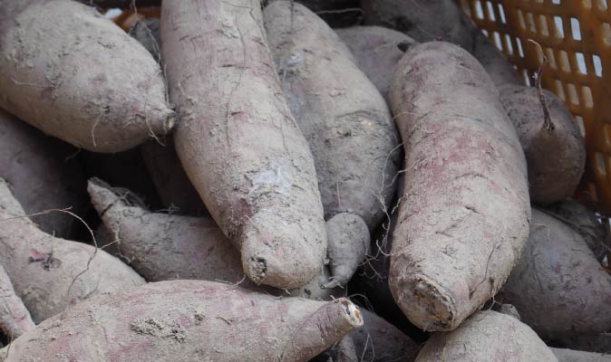 サツマイモのイメージ画像