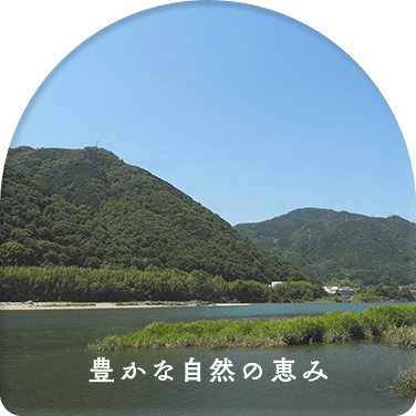 豊かな自然の恵み