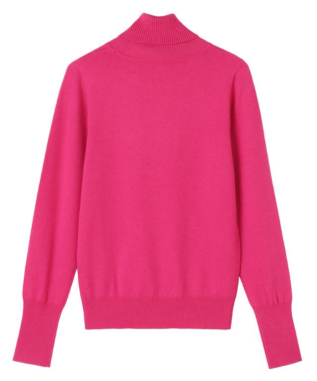 カシミヤ混ソフトタッチタートルネック_gfa24aw-nt15