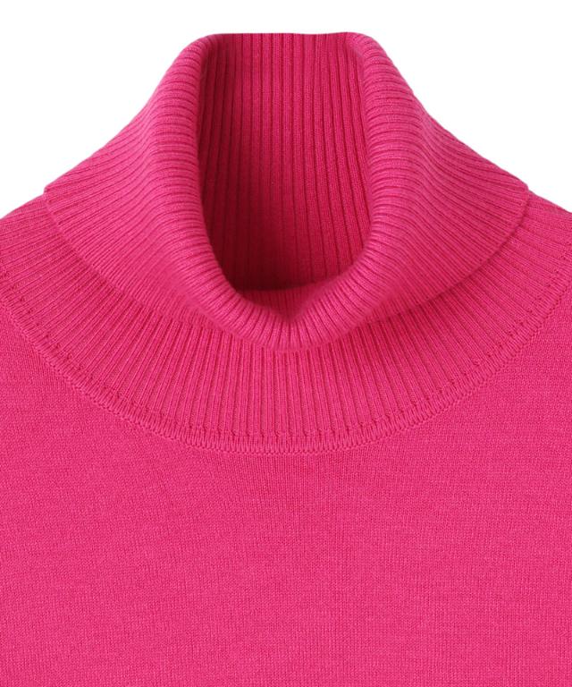 カシミヤ混ソフトタッチタートルネック_gfa24aw-nt15