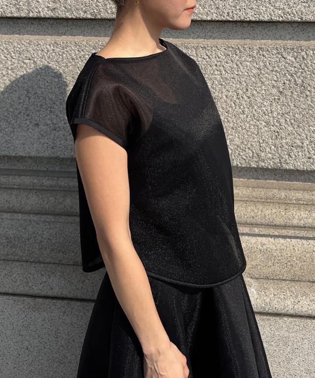 シアーエアリートップス（日本生地）_smr26ss-tp53