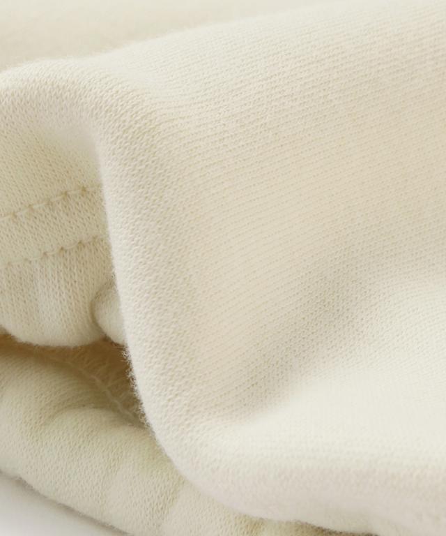 日本製裏起毛スタンドトップス（保温性機能生地）_sty25aw-tp51