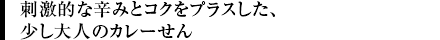 刺激的な辛みとコクをプラスした、少し大人のカレーせん