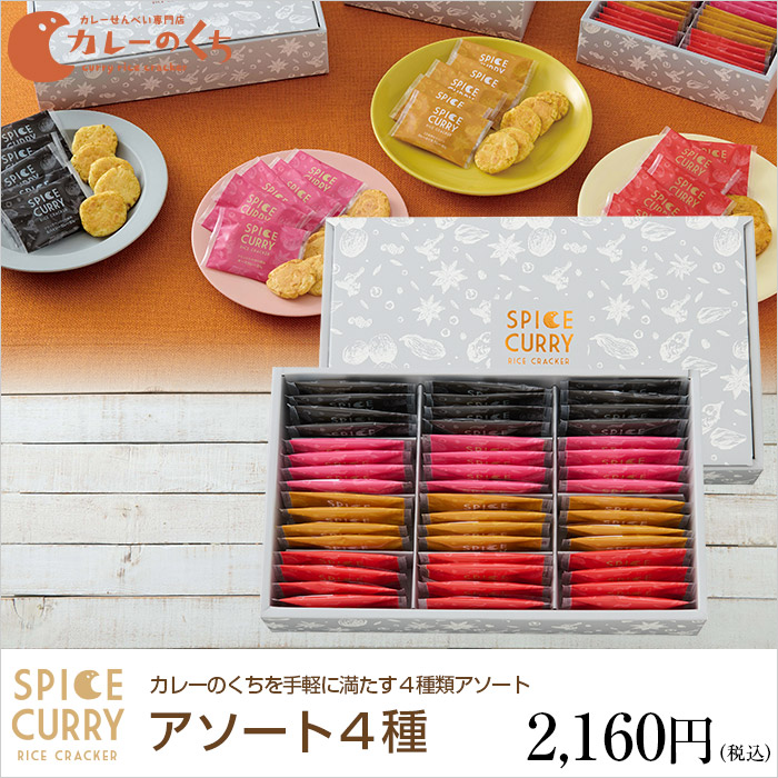 カレーのくちを手軽に満たす4種類アソート