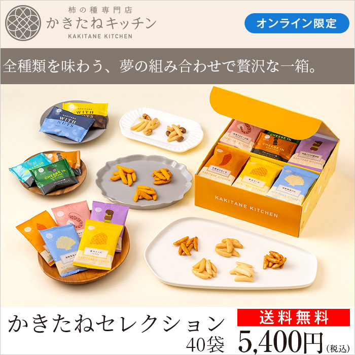 かきたねキッチン かきたねセレクション40袋 【送料無料】【包装なし