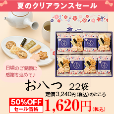 【特別ギフトセール】 洛味堂 お八つ 22袋 【包装済】