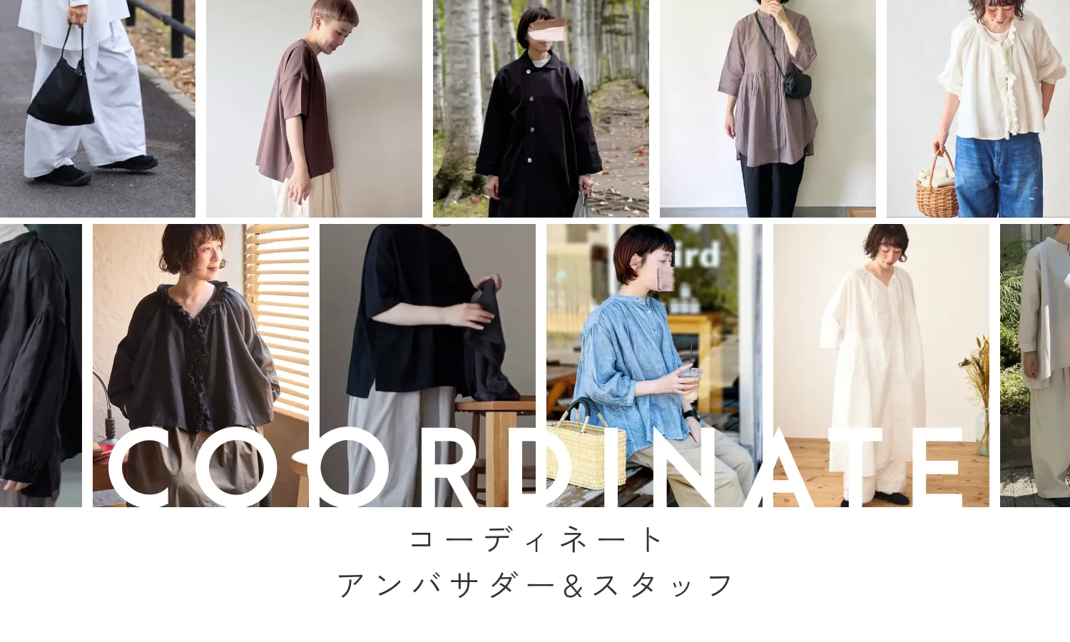 アンバサダーコーディネート